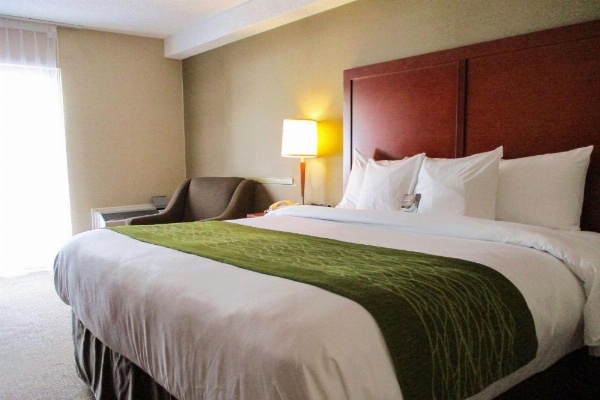 Comfort Inn Dartmouth image 13