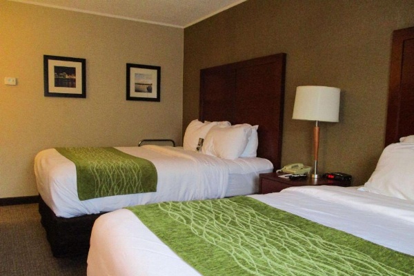 Comfort Inn Dartmouth image 19