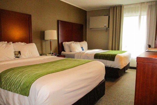 Comfort Inn Dartmouth image 20