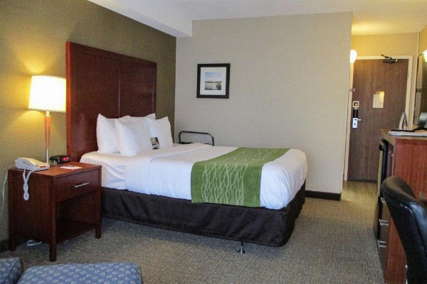 Comfort Inn Dartmouth image 8